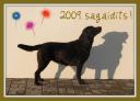 Laimigu un saticigu Jauno gadu! Happy New Year!