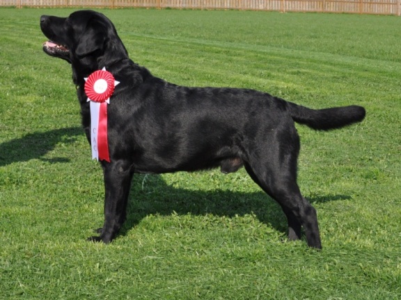 odin20120505ss.JPG